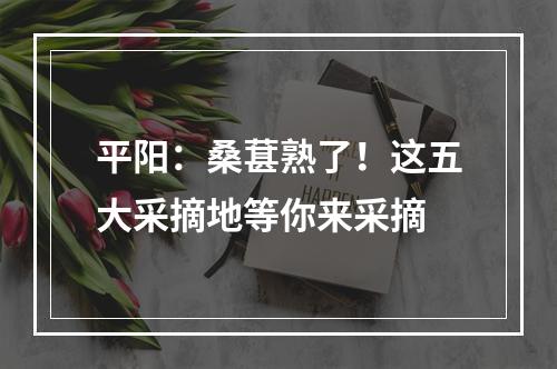 平阳：桑葚熟了！这五大采摘地等你来采摘