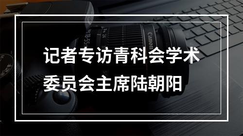 记者专访青科会学术委员会主席陆朝阳