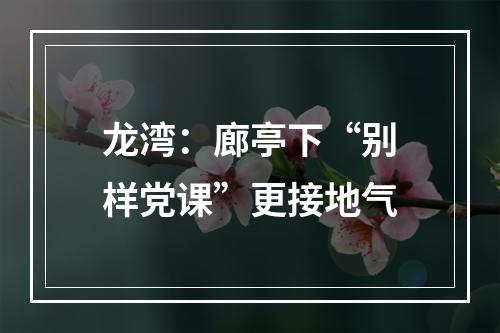 龙湾：廊亭下“别样党课”更接地气