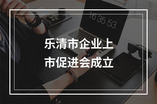 乐清市企业上市促进会成立