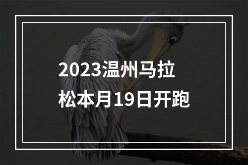 2023温州马拉松本月19日开跑