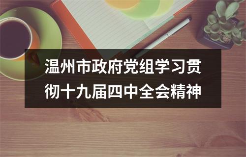 温州市政府党组学习贯彻十九届四中全会精神