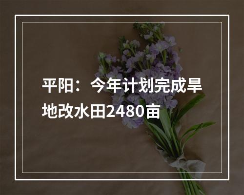平阳：今年计划完成旱地改水田2480亩