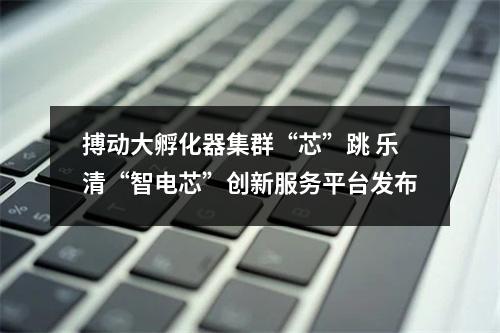 搏动大孵化器集群“芯”跳 乐清“智电芯”创新服务平台发布