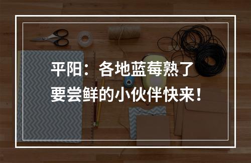 平阳：各地蓝莓熟了 要尝鲜的小伙伴快来！