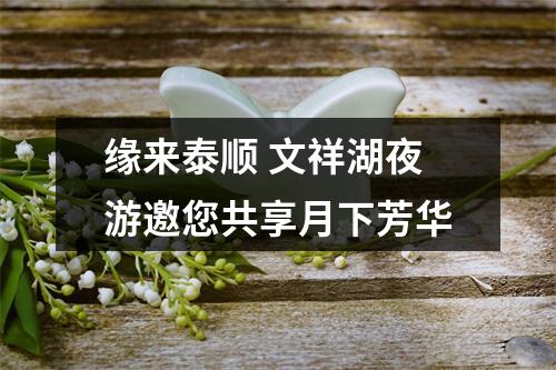缘来泰顺 文祥湖夜游邀您共享月下芳华