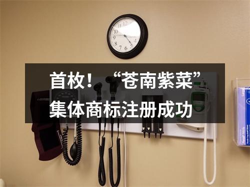 首枚！“苍南紫菜”集体商标注册成功