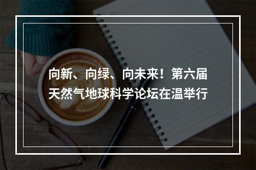 向新、向绿、向未来！第六届天然气地球科学论坛在温举行