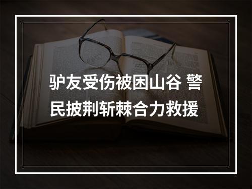 驴友受伤被困山谷 警民披荆斩棘合力救援