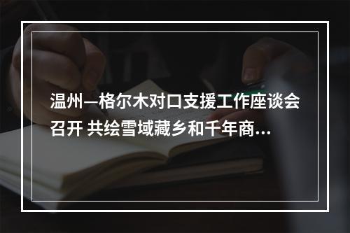 温州—格尔木对口支援工作座谈会召开 共绘雪域藏乡和千年商港合作新画卷