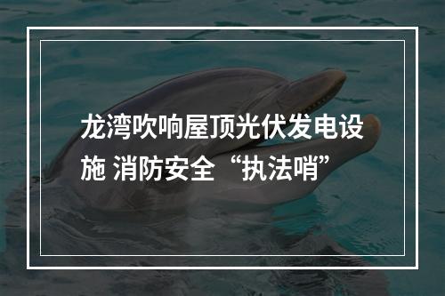 龙湾吹响屋顶光伏发电设施 消防安全“执法哨”