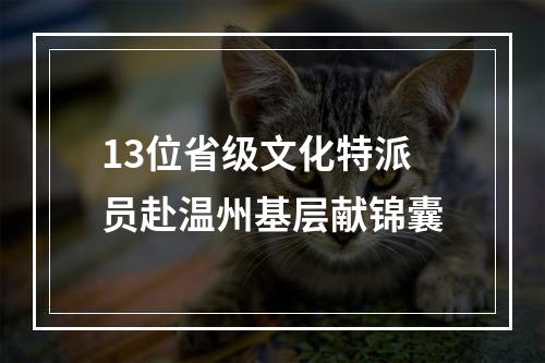 13位省级文化特派员赴温州基层献锦囊