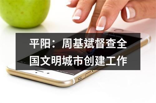 平阳：周基斌督查全国文明城市创建工作