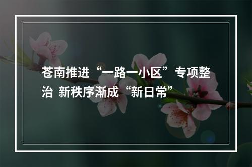 苍南推进“一路一小区”专项整治  新秩序渐成“新日常”