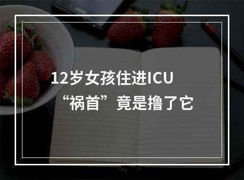 12岁女孩住进ICU “祸首”竟是撸了它