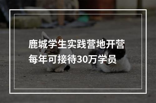 鹿城学生实践营地开营 每年可接待30万学员