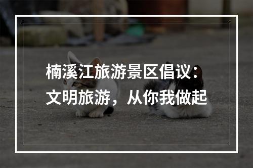 楠溪江旅游景区倡议：文明旅游，从你我做起