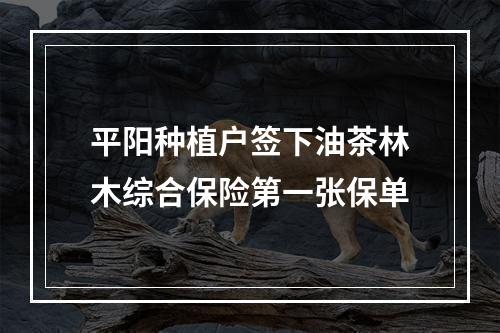 平阳种植户签下油茶林木综合保险第一张保单
