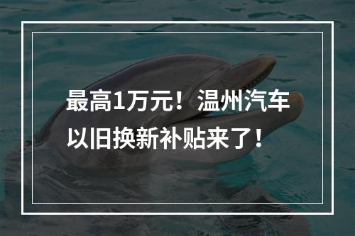 最高1万元！温州汽车以旧换新补贴来了！