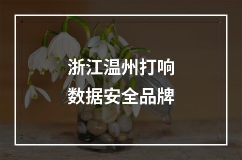 浙江温州打响数据安全品牌