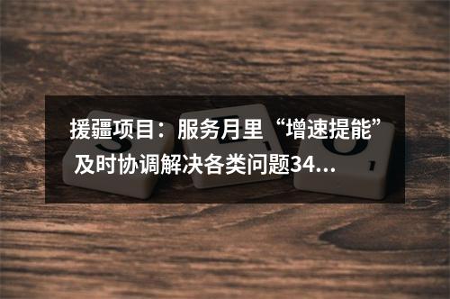 援疆项目：服务月里“增速提能” 及时协调解决各类问题34个