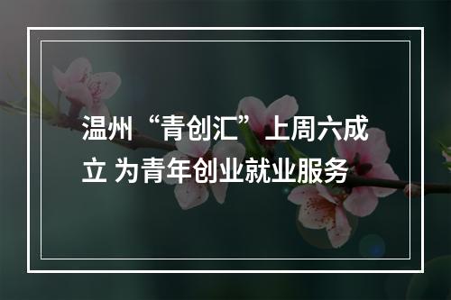 温州“青创汇”上周六成立 为青年创业就业服务