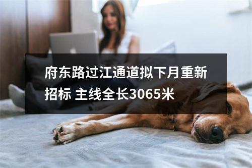 府东路过江通道拟下月重新招标 主线全长3065米