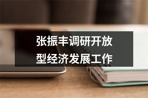 张振丰调研开放型经济发展工作