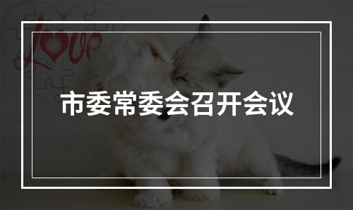 市委常委会召开会议