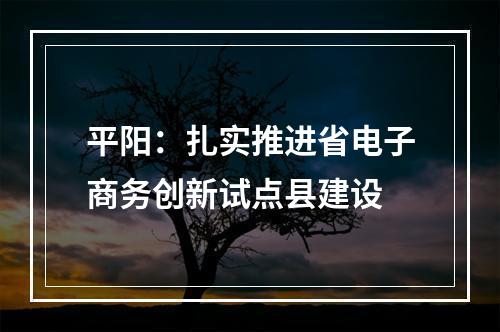 平阳：扎实推进省电子商务创新试点县建设
