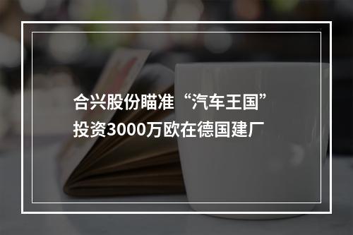 合兴股份瞄准“汽车王国” 投资3000万欧在德国建厂