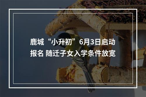 鹿城“小升初”6月3日启动报名 随迁子女入学条件放宽