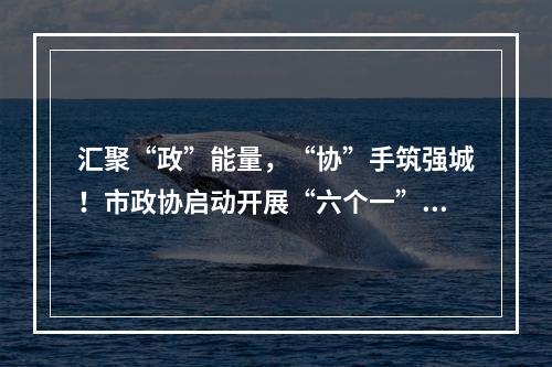 汇聚“政”能量，“协”手筑强城！市政协启动开展“六个一”活动