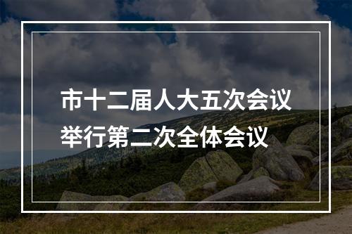 市十二届人大五次会议举行第二次全体会议