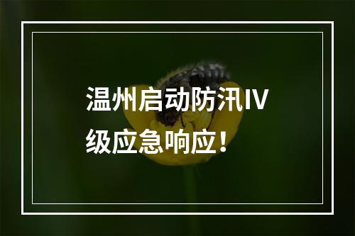 温州启动防汛Ⅳ级应急响应！