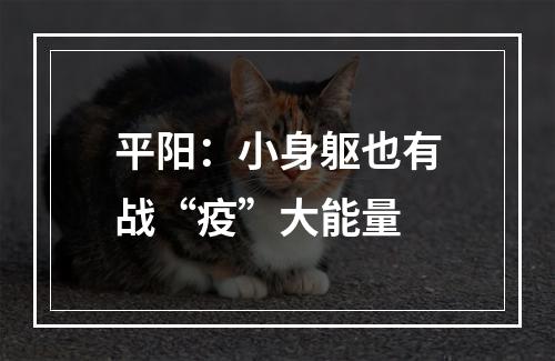 平阳：小身躯也有战“疫”大能量