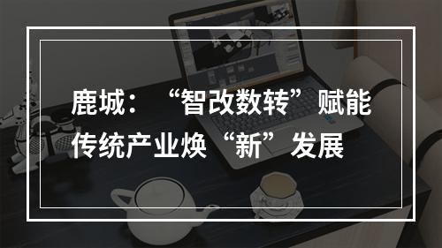 鹿城：“智改数转”赋能传统产业焕“新”发展