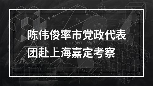 陈伟俊率市党政代表团赴上海嘉定考察