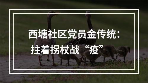 西塘社区党员金传统： 拄着拐杖战“疫”