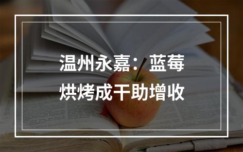 温州永嘉：蓝莓烘烤成干助增收
