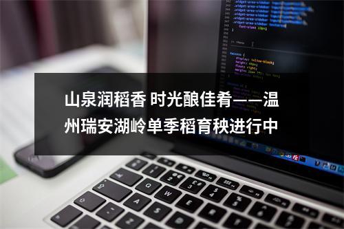山泉润稻香 时光酿佳肴——温州瑞安湖岭单季稻育秧进行中