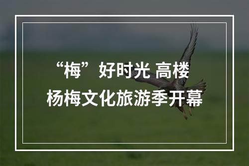 “梅”好时光 高楼杨梅文化旅游季开幕