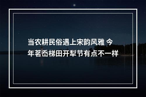 当农耕民俗遇上宋韵风雅 今年茗岙梯田开犁节有点不一样