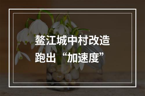 鳌江城中村改造跑出“加速度”