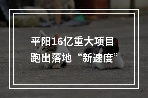 平阳16亿重大项目跑出落地“新速度”