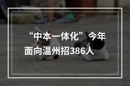 “中本一体化”今年面向温州招386人