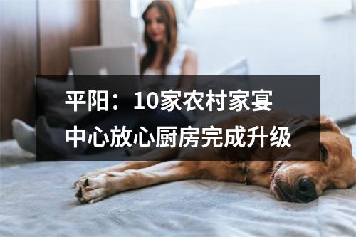 平阳：10家农村家宴中心放心厨房完成升级