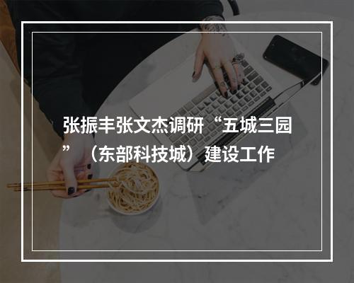 张振丰张文杰调研“五城三园”（东部科技城）建设工作