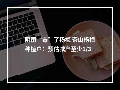 阴雨“霉”了杨梅 茶山杨梅种植户：预估减产至少1/3