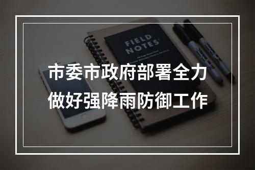 市委市政府部署全力做好强降雨防御工作